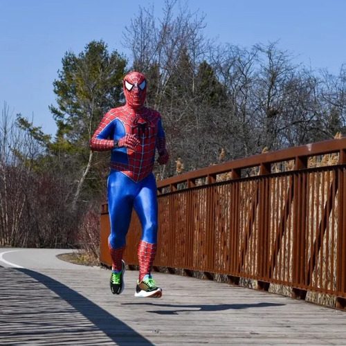 Spidey-Bridge-2(1)(1)